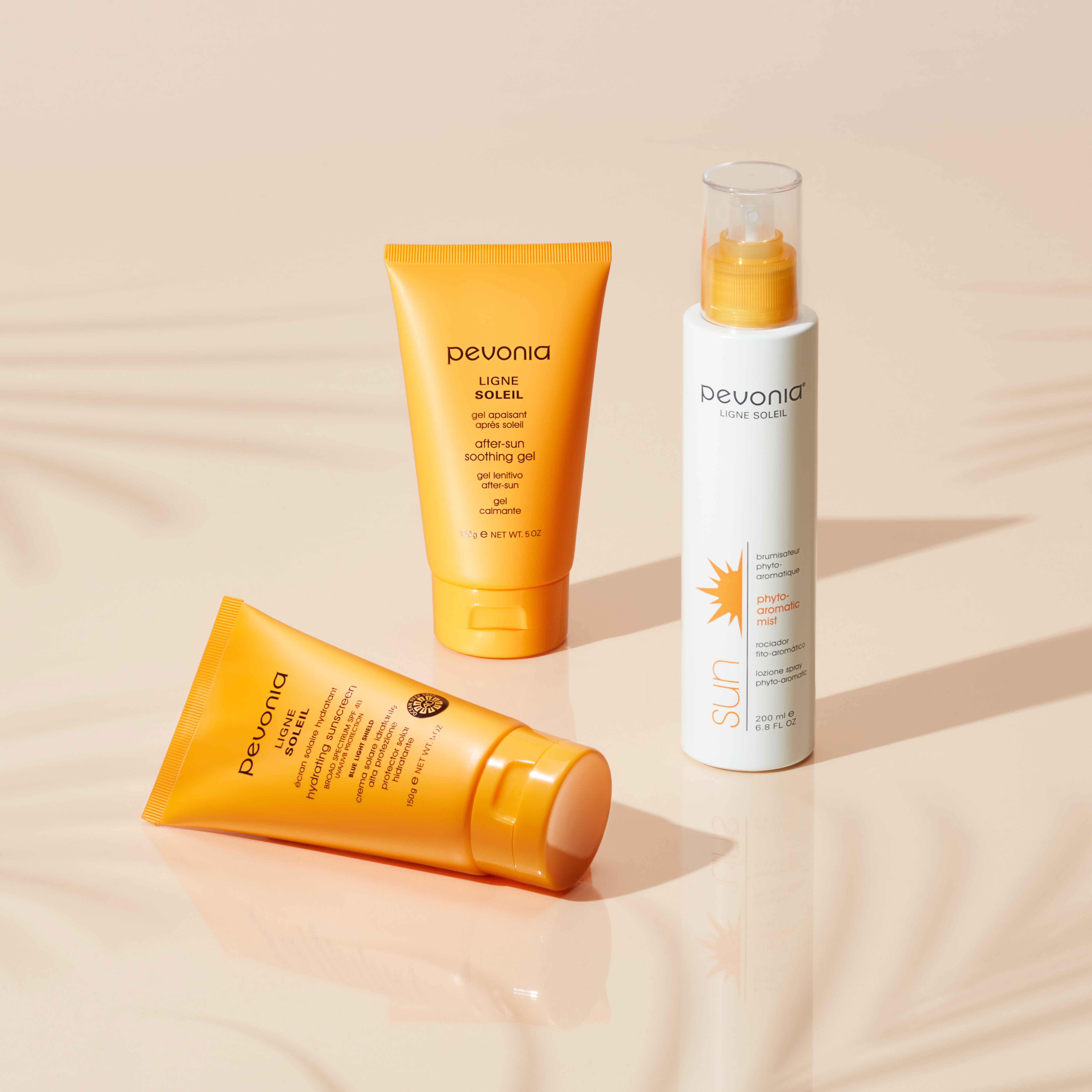 Sun Line products sitting among the shadows of palm trees on a beige backdrop.