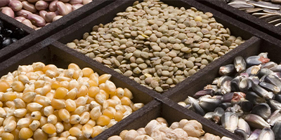 A random assortment of seeds.